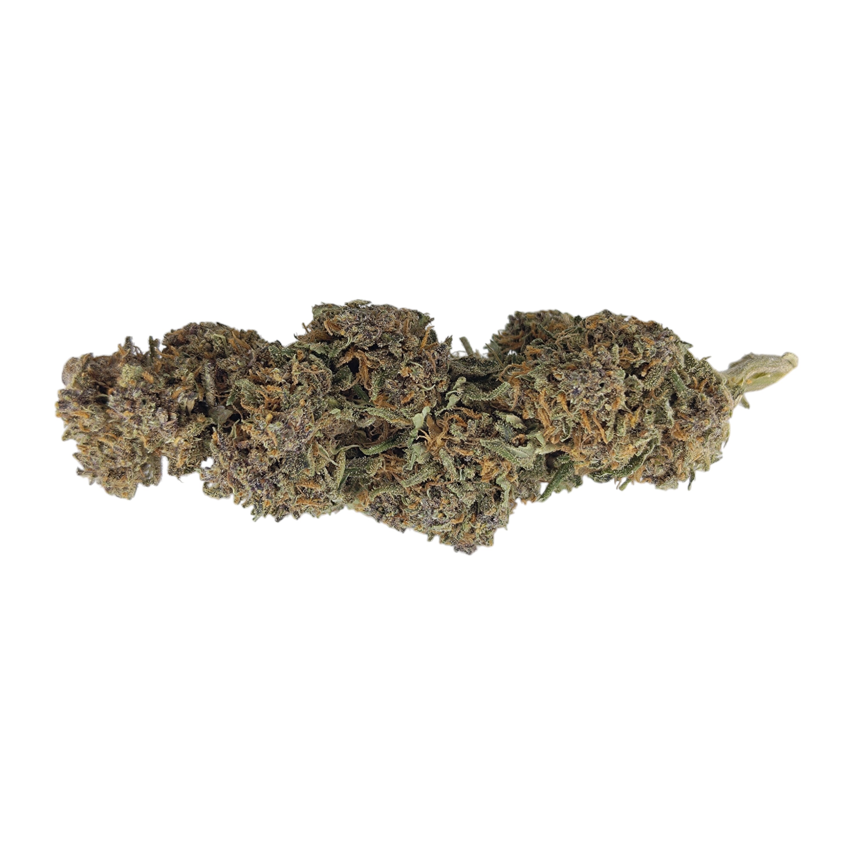 Purple Outdoor <0,3