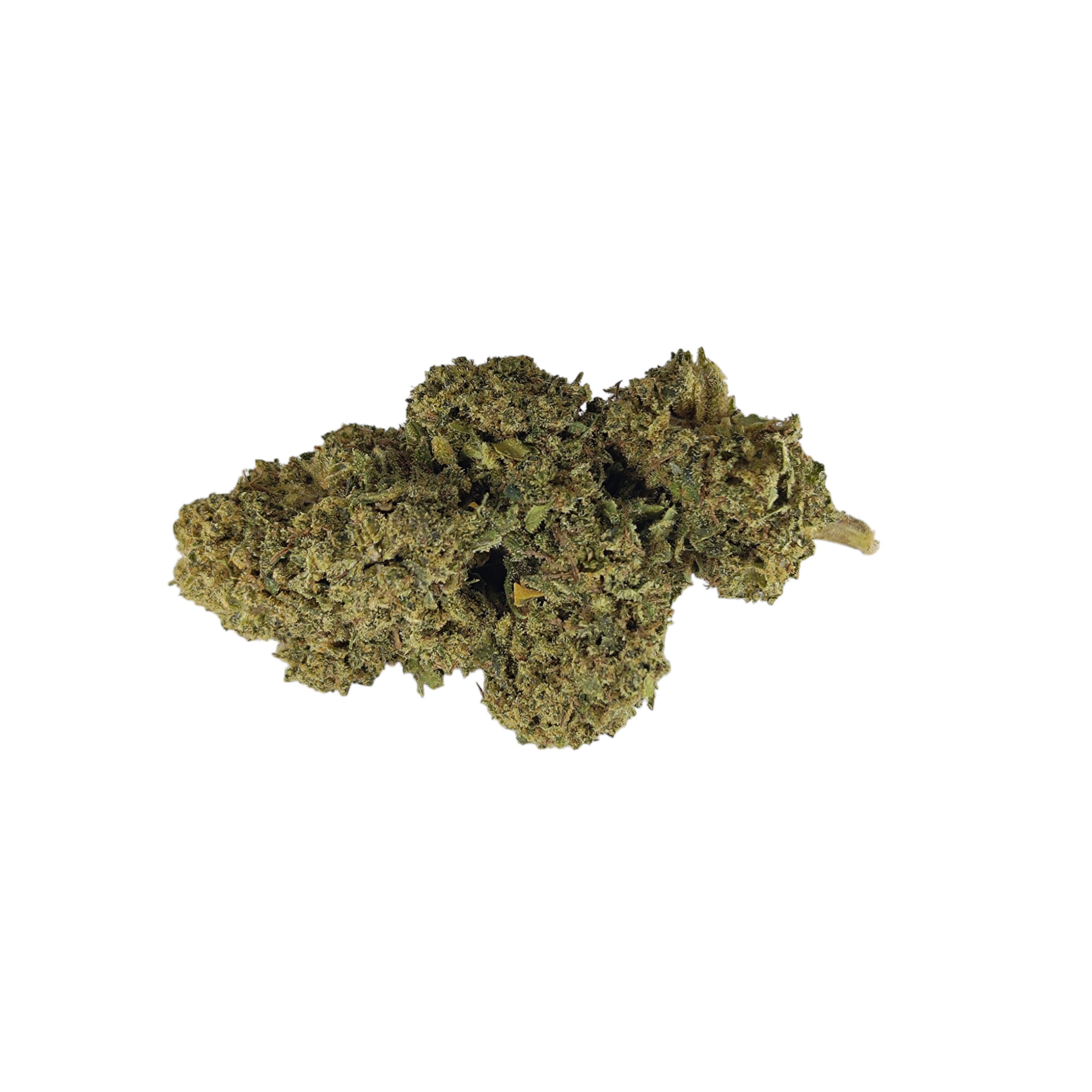 Cannatonic Outdoor <0,3