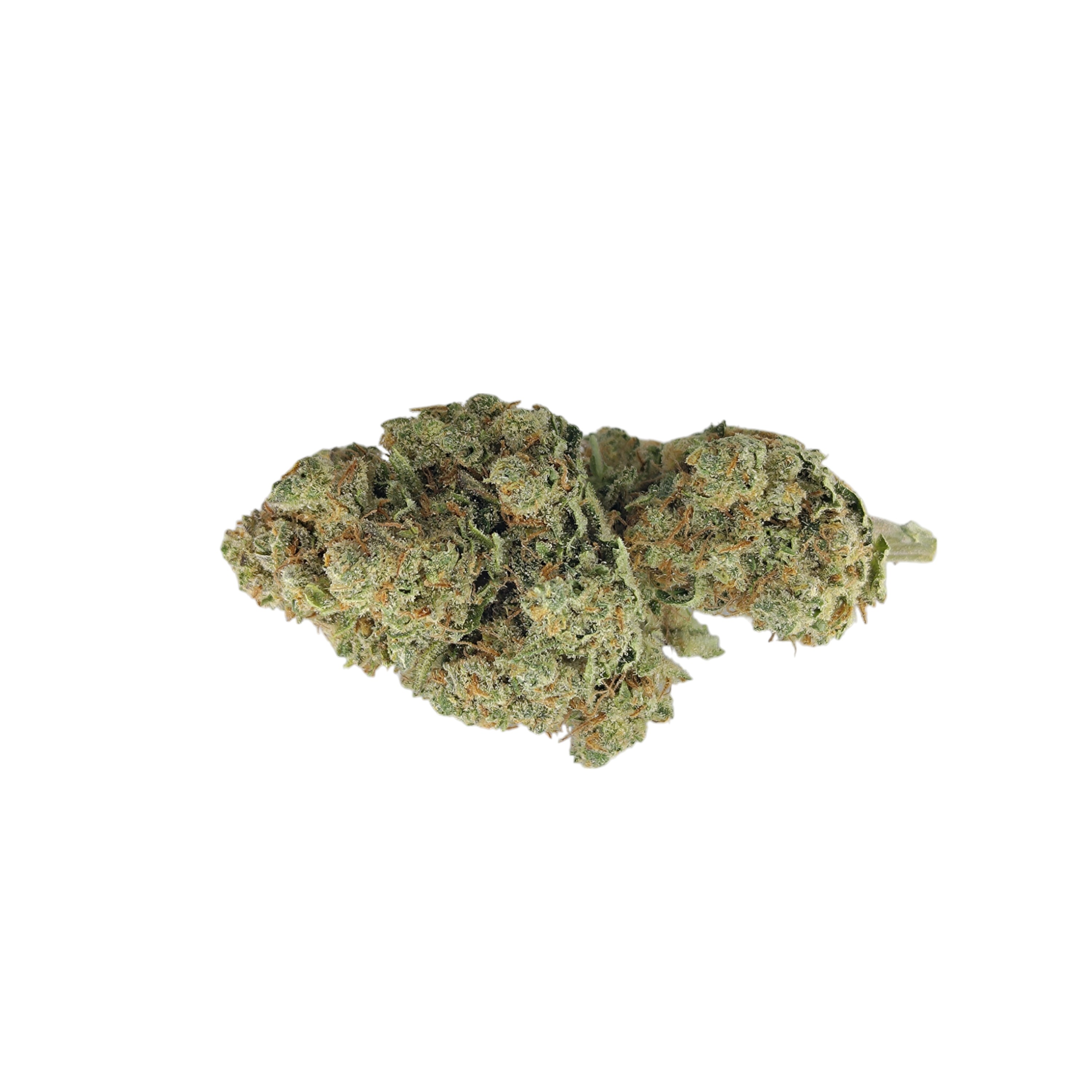 Amnesia Indoor ≤0,2