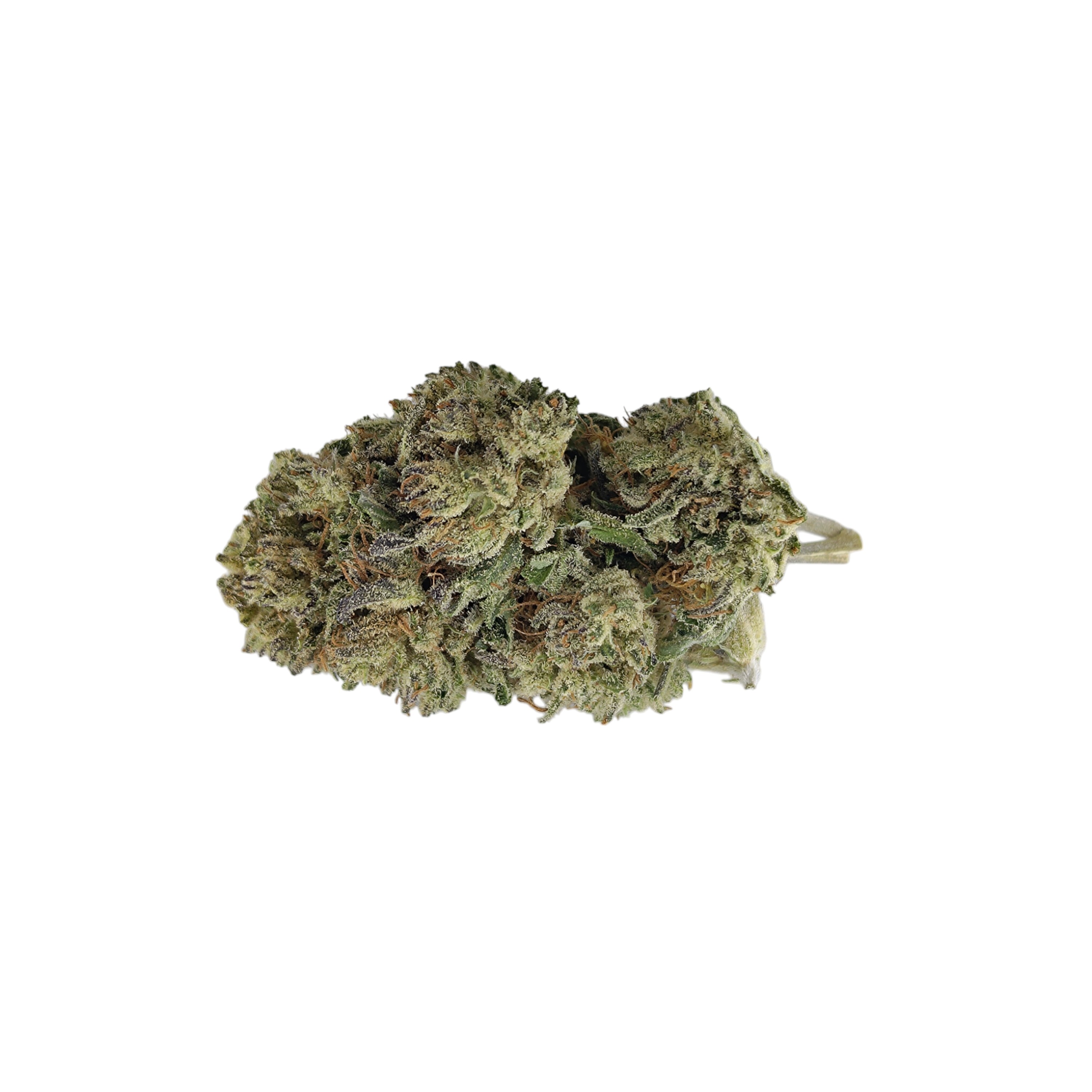 Critical Greenhouse <0,3